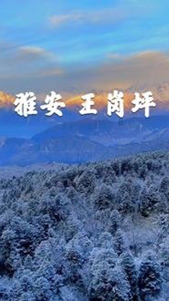 了解你的电话号码多少?知识星球,探索卓越学习平台